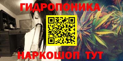 МДПВ Канаш