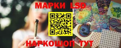 МДПВ Канаш