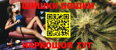 МДПВ Канаш