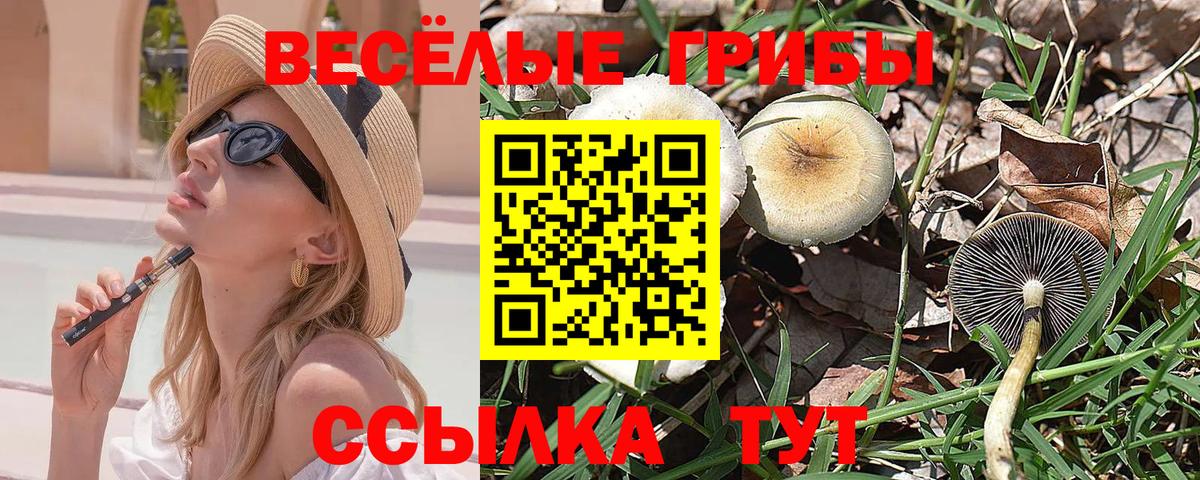 Галлюциногенные грибы Psilocybine cubensis Люберцы