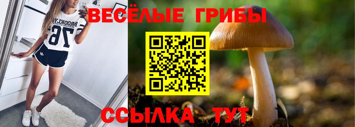 Псилоцибиновые грибы Psilocybe  Псилоцибиновые грибы Psilocybine cubensis  Вход с VPN  Люберцы 